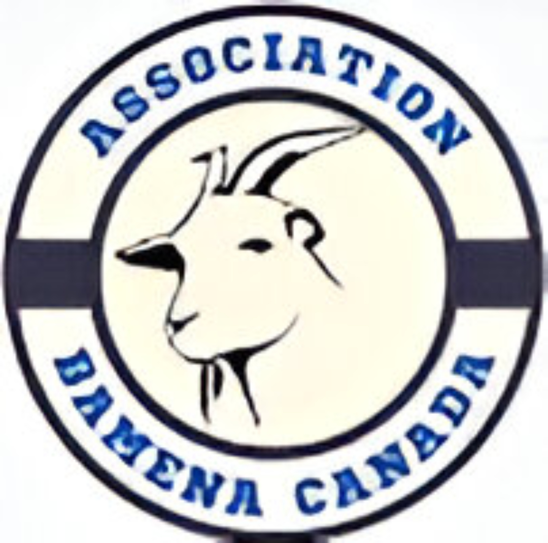 Association Bamena Canada